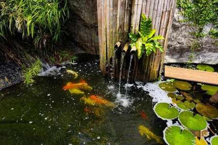 Bassins naturels &agrave; Zudausques : un atout pour la biodiversit&eacute; locale